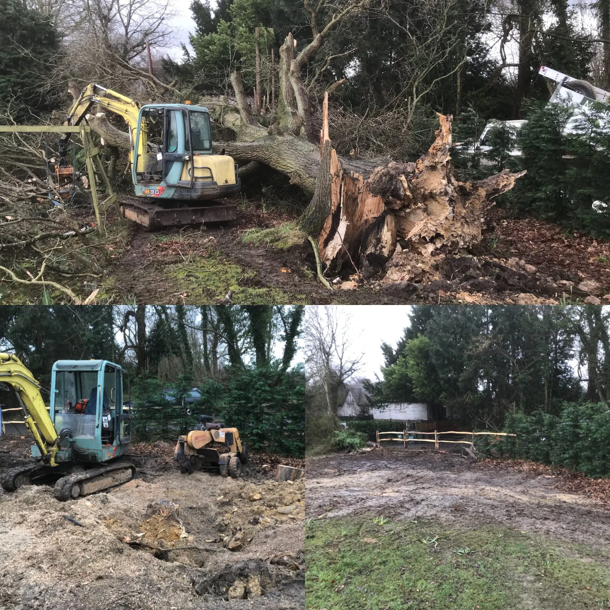 A photo from the A storm-felled oak cleared off a Heathfield road. case study in Heathfield.