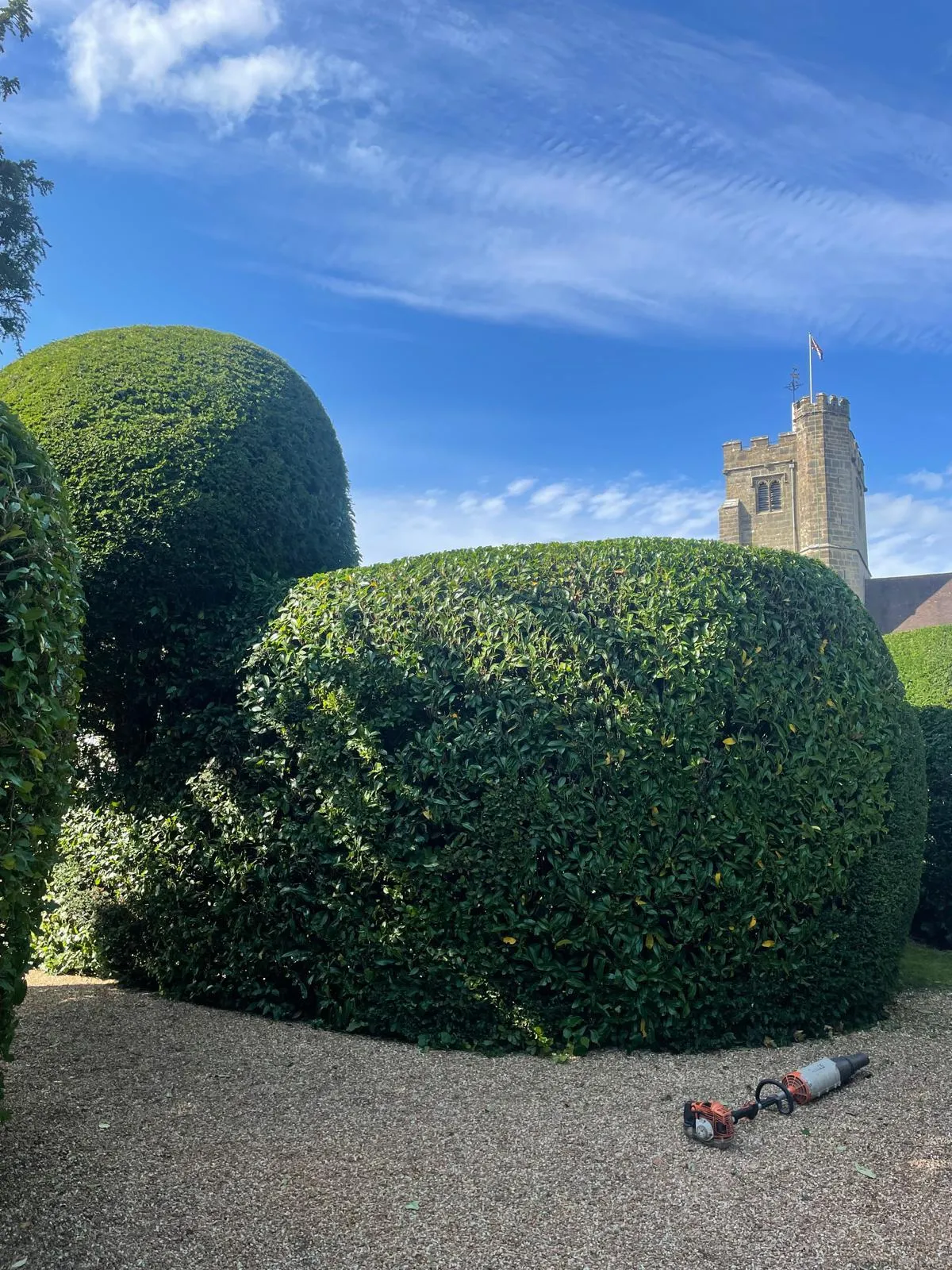 A photo from the A formal Yew and Laurel cut in a churchyard garden. case study in Hawkhurst .
