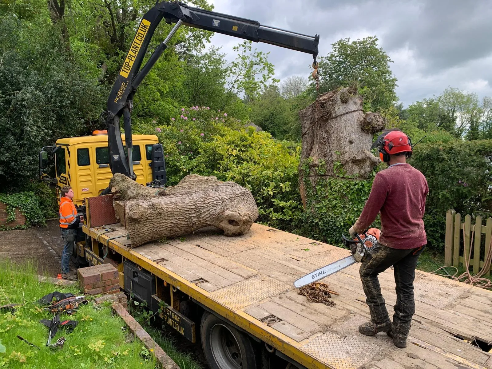 A lorry-mounted crane lifts a large trunk section from a sectional tree dismantle in an East Sussex garden, with the chainsaw operator on the lorry bed.