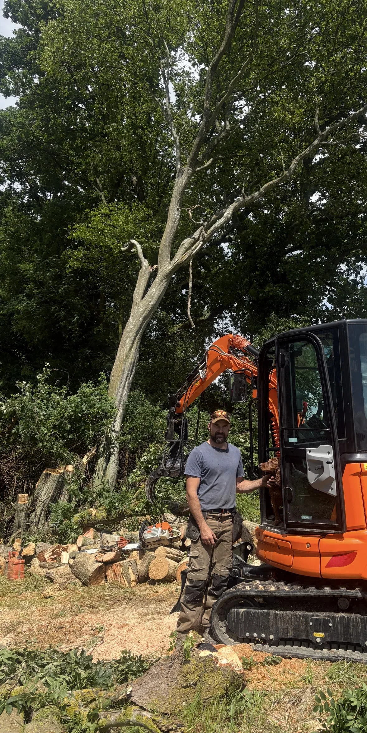 A photo of Josh on site with the Timber grab digger, making quick and easy work of a Large Ash suffering from die back that had just been felled. Connie the cocker spaniel is never to far away. 
