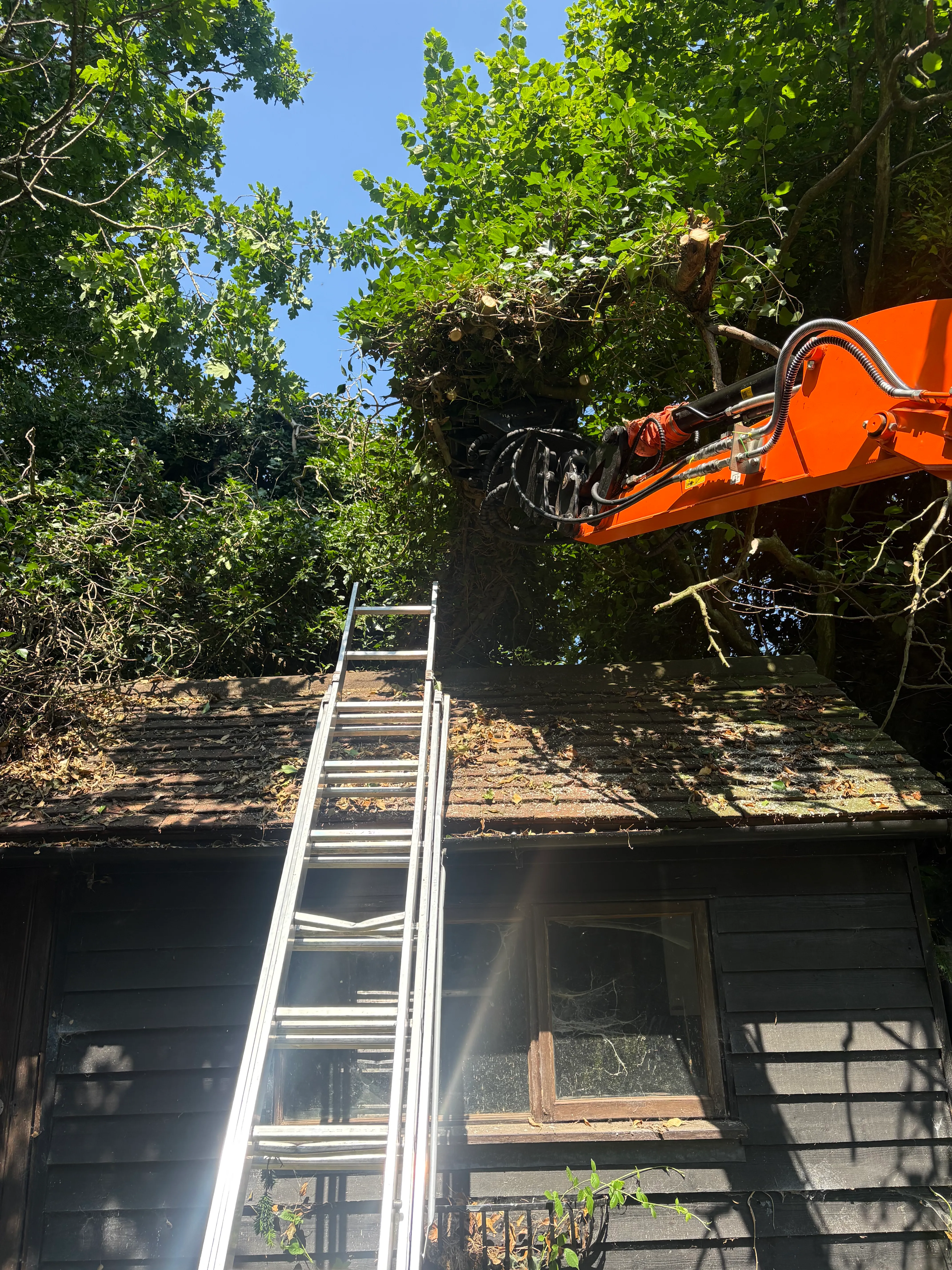 A photo from the Storm damage  case study in Burwash.